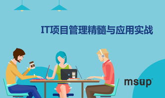 msup 軟件研發(fā)管理培訓(xùn)與咨詢服務(wù) 賦能團(tuán)隊(duì)，驅(qū)動(dòng)卓越