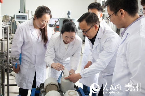 延伸教育鏈，服務(wù)產(chǎn)業(yè)鏈 探索教育咨詢服務(wù)的橋梁作用